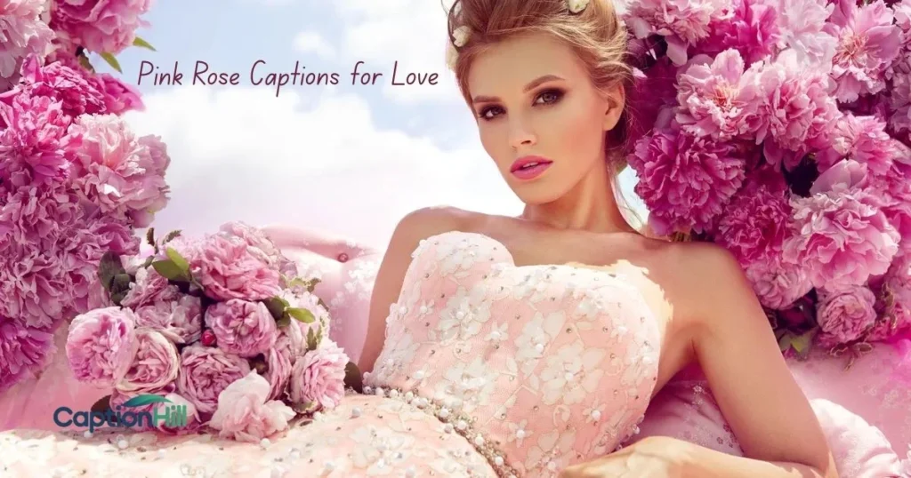 Pink Rose Captions For Love