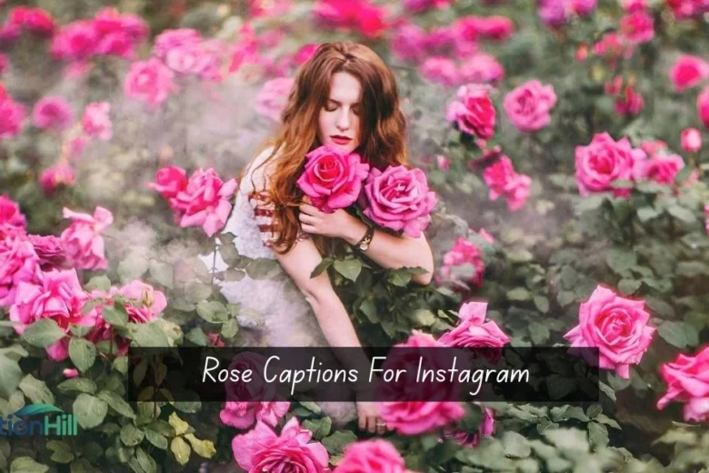 Rose Captions For Instagram