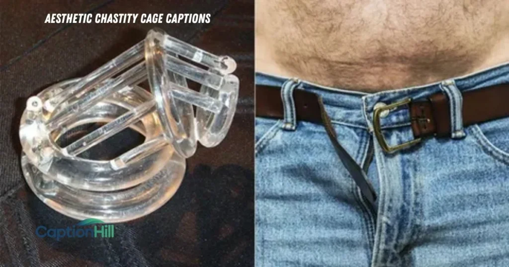 Aesthetic Chastity Cage Captions