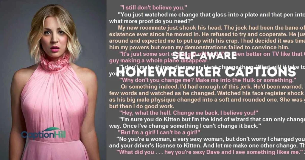 Self Aware Homewrecker Captions
